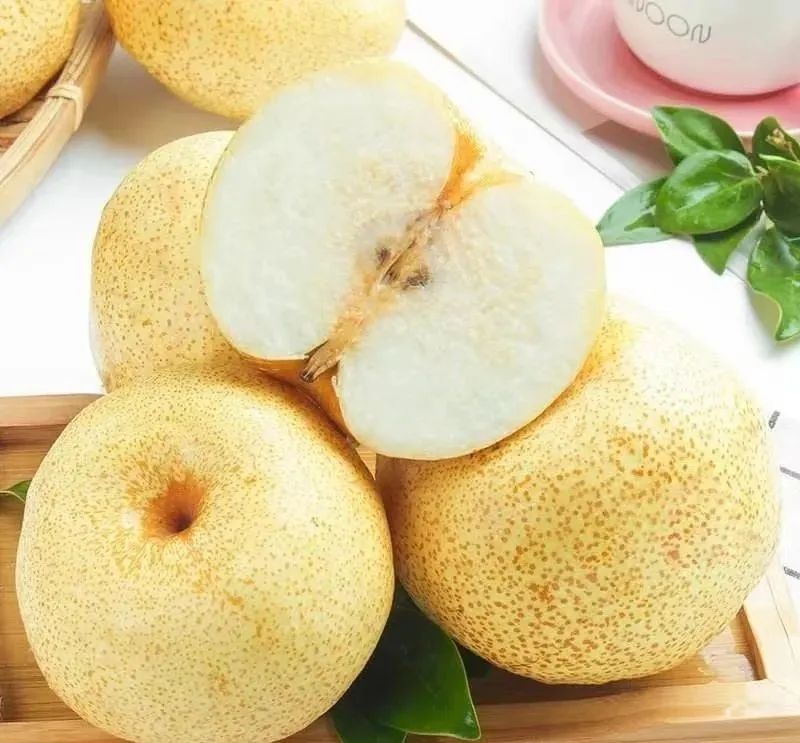 我是灵台，这是我的名片