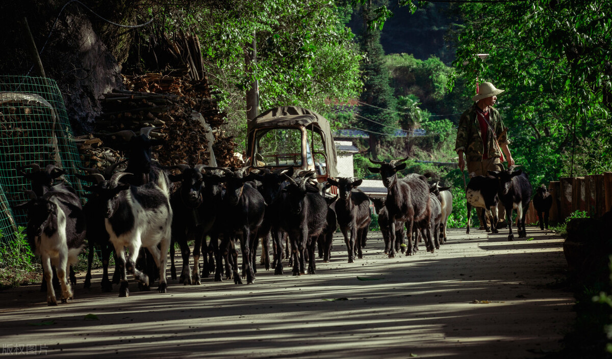 西双版纳名胜古迹有哪些,西双版纳有哪些名胜古迹