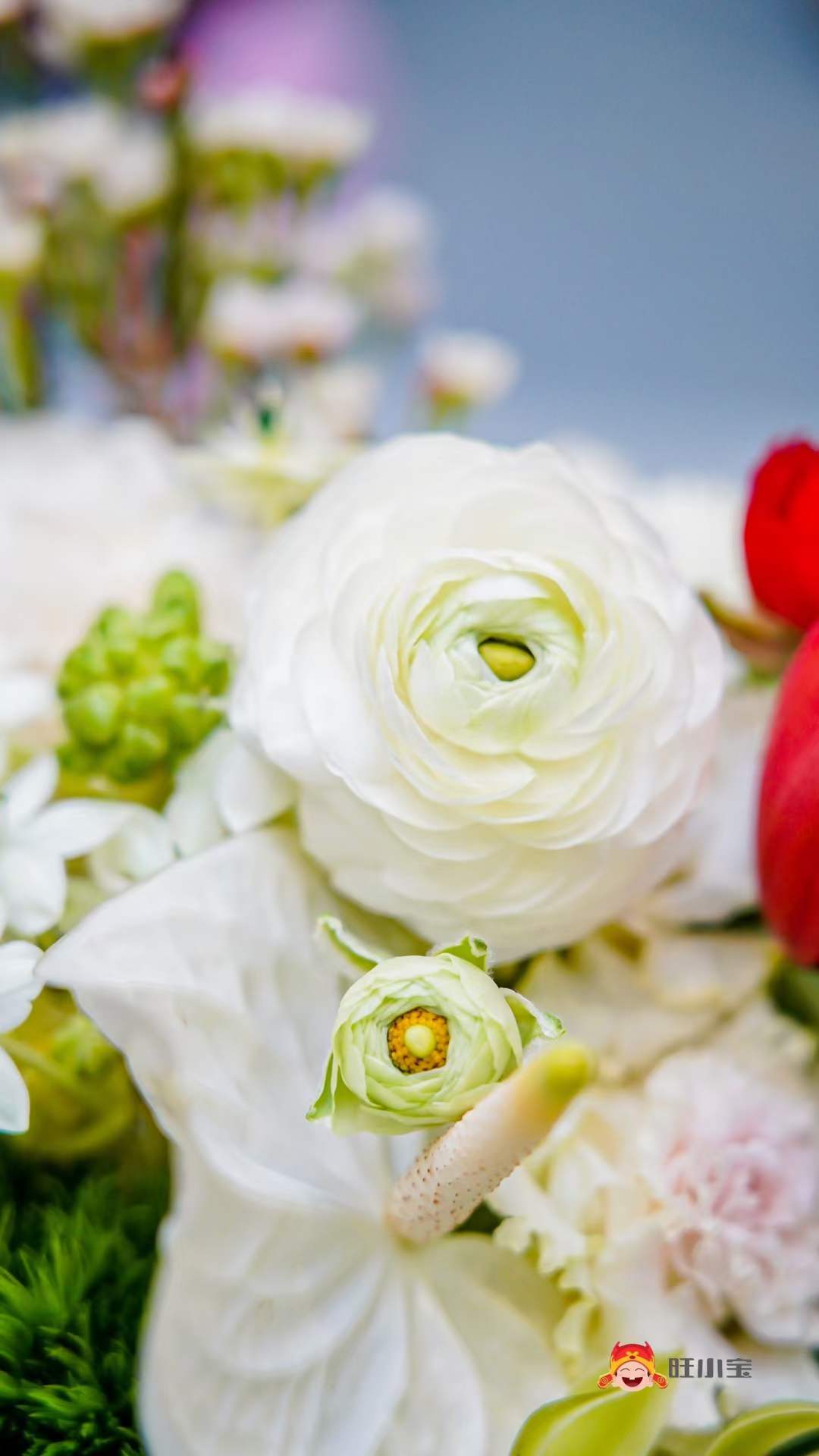 旺小宝营销云产品,旺小宝国潮工厂店