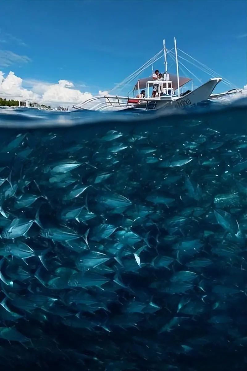 38张照片看世界：黎巴嫩被毁坏的港口，山洞球场