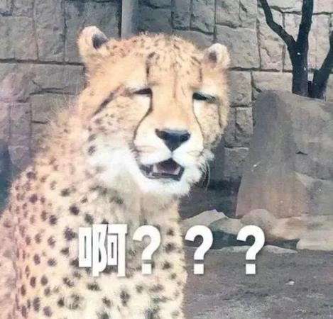 女子被入室刺伤,女孩爬栏杆被刺到