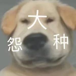 王者输了发朋友圈文案,关于王者的高级文案