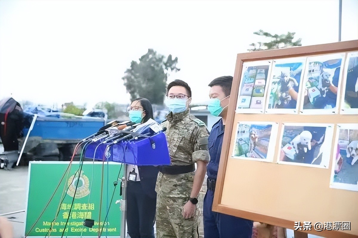 我从内地偷渡到香港的宠物，半路被水警抓走了