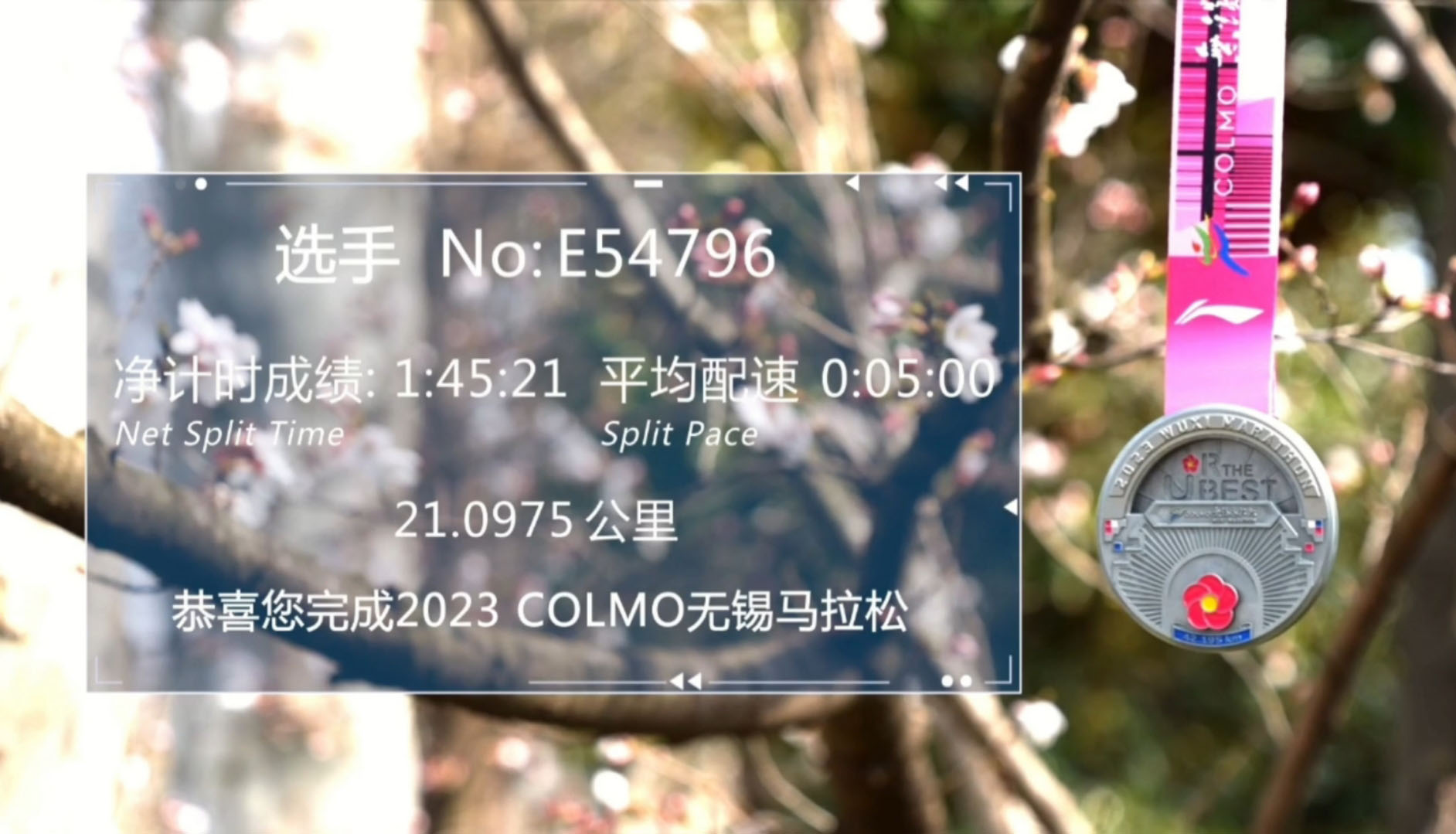 林子漫笔“微日记”,1221-1225：兔年有金“马孔多”