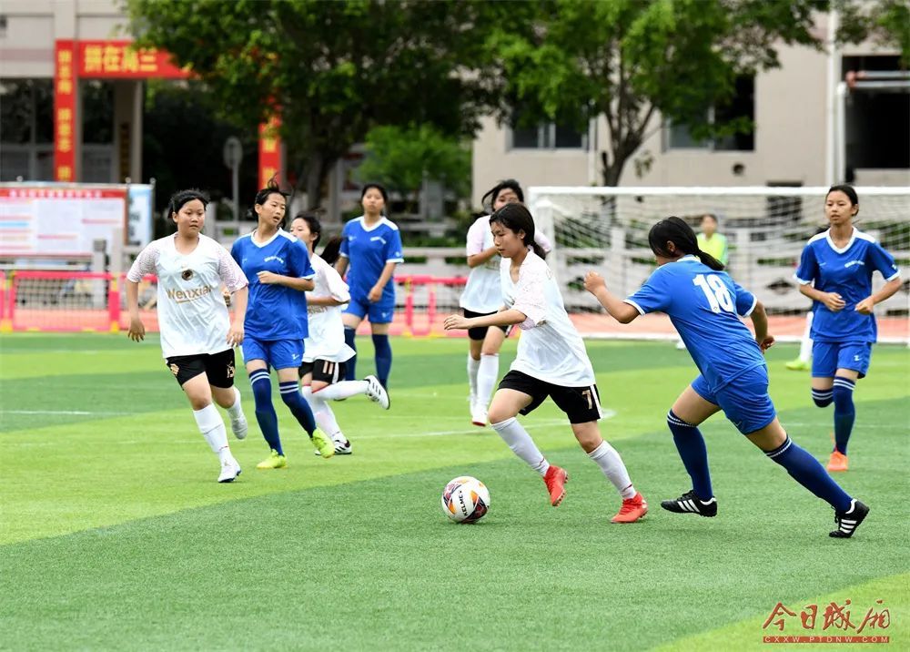 莆田百年白玉兰盛开,莆田花开花落