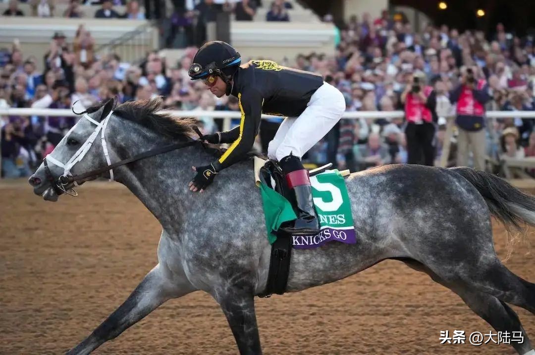 21世纪最伟大比赛,20世纪美国100匹顶级赛马排名