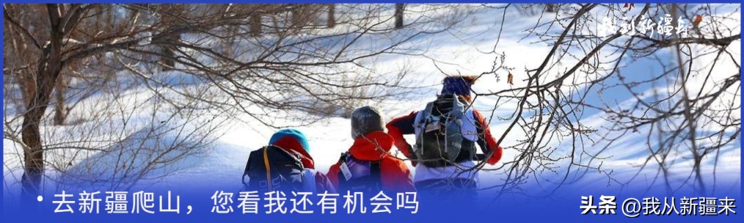 入疆旅游攻略,一篇攻略秒懂新疆