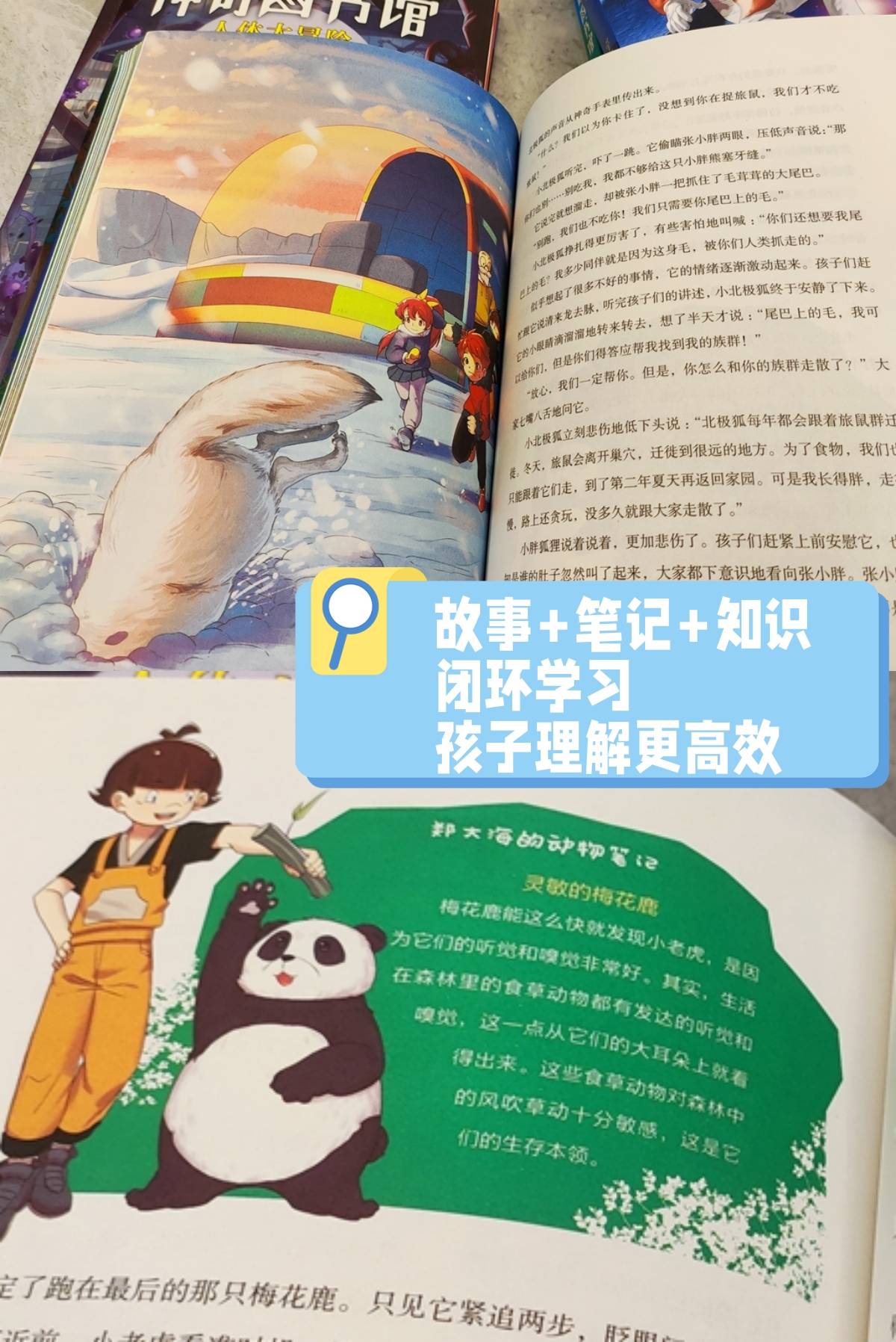 给孩子看的10本科普书,优质的儿童科普书籍就像一道大餐
