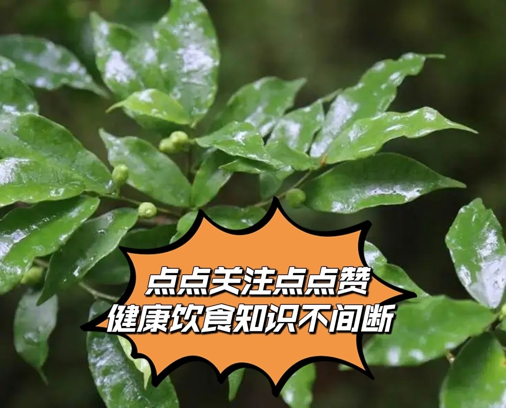 有一种树全株具乳汁，根部有奶香，是煲汤佳品，味美价值高，是啥