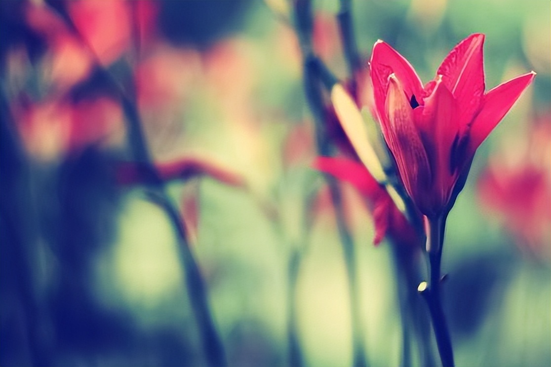 男人对你忽冷忽热但是又不分手,男人对你忽冷忽热女人怎么做