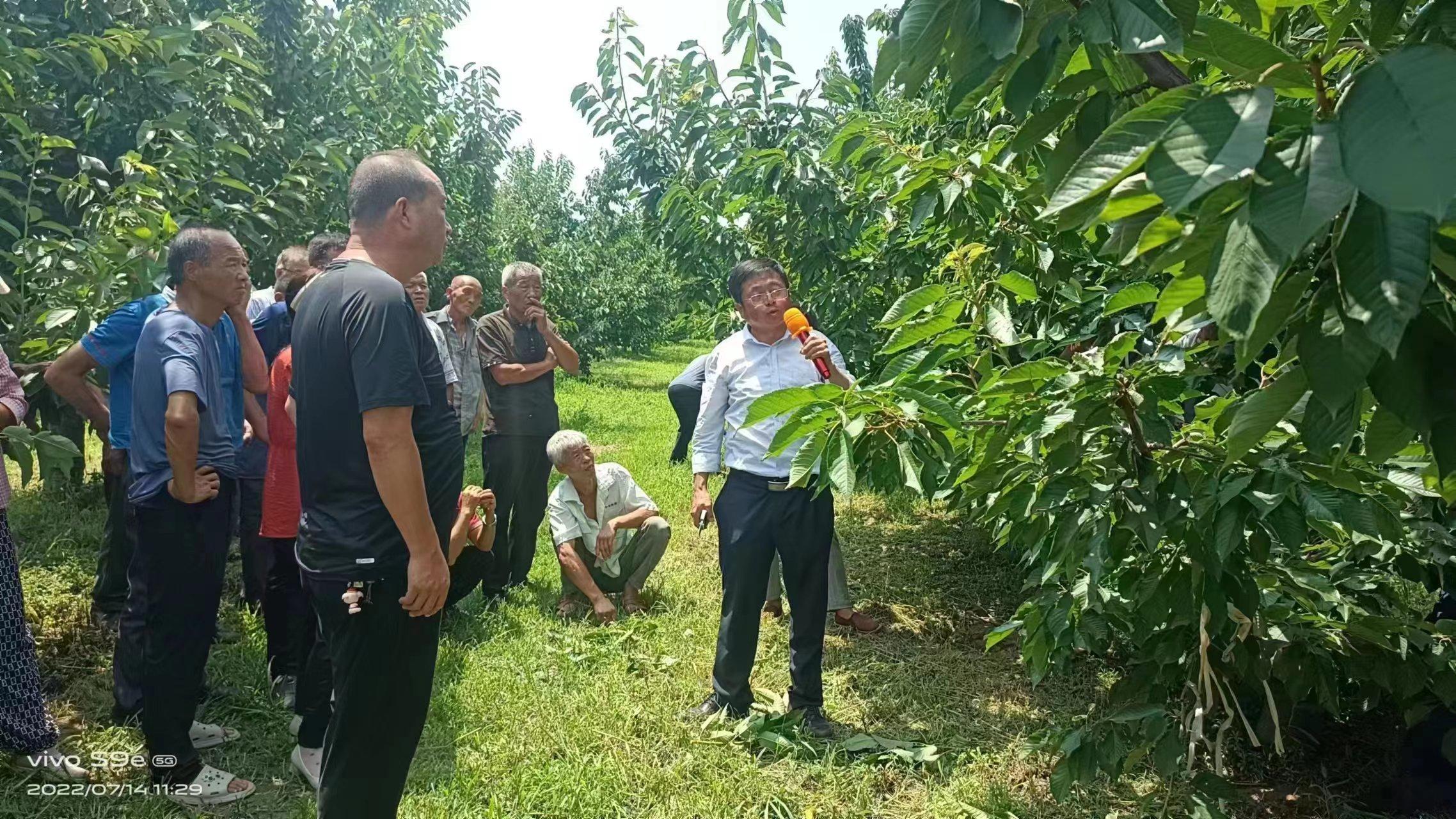 鍏氬缓寮曢灏忔ū妗冨ぇ浜т笟,鍚堥槼鍘块噾宄晣鍏氬缓