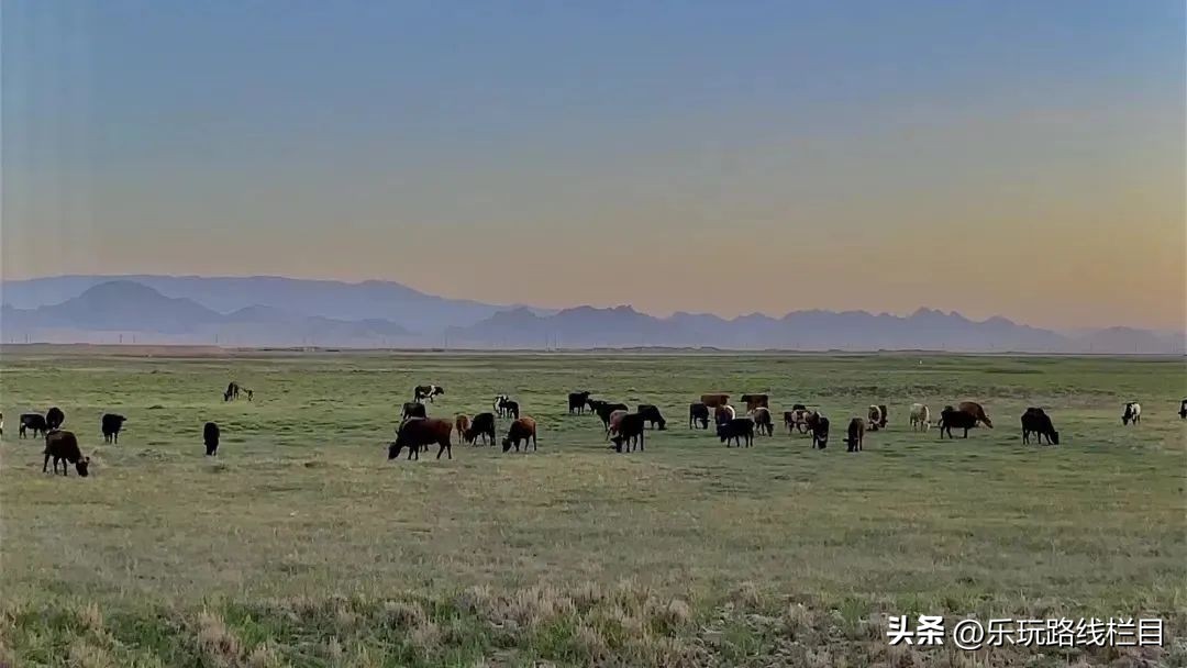 格尔木景点大全攻略,格尔木最神秘地方