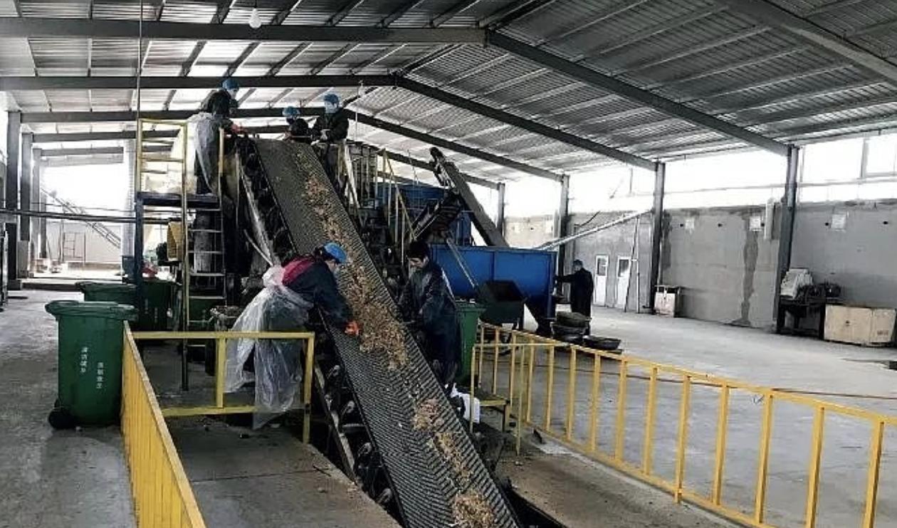 世界上最大的蟑螂工厂,中国最大的蟑螂工厂产品