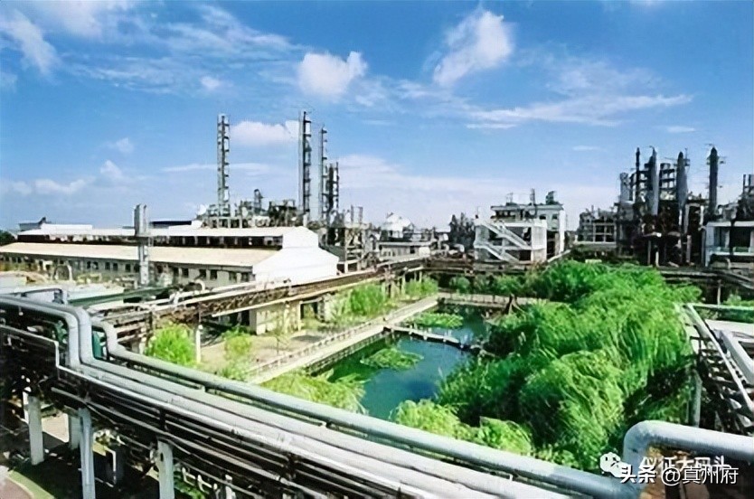 央视点赞军运会,央视点赞国漫