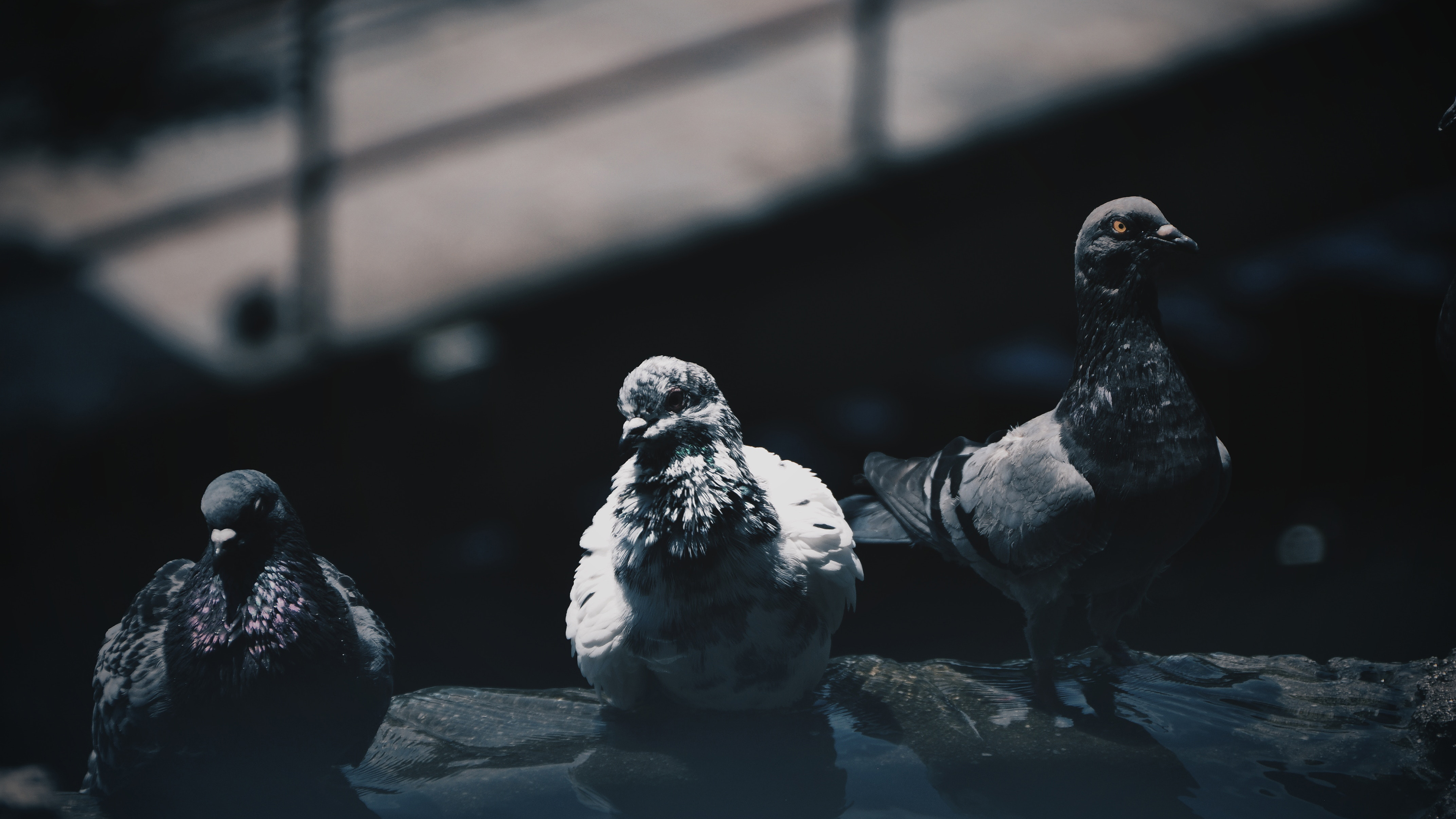 海信新品电视e5,海信电视75e5h-pro75英寸评测