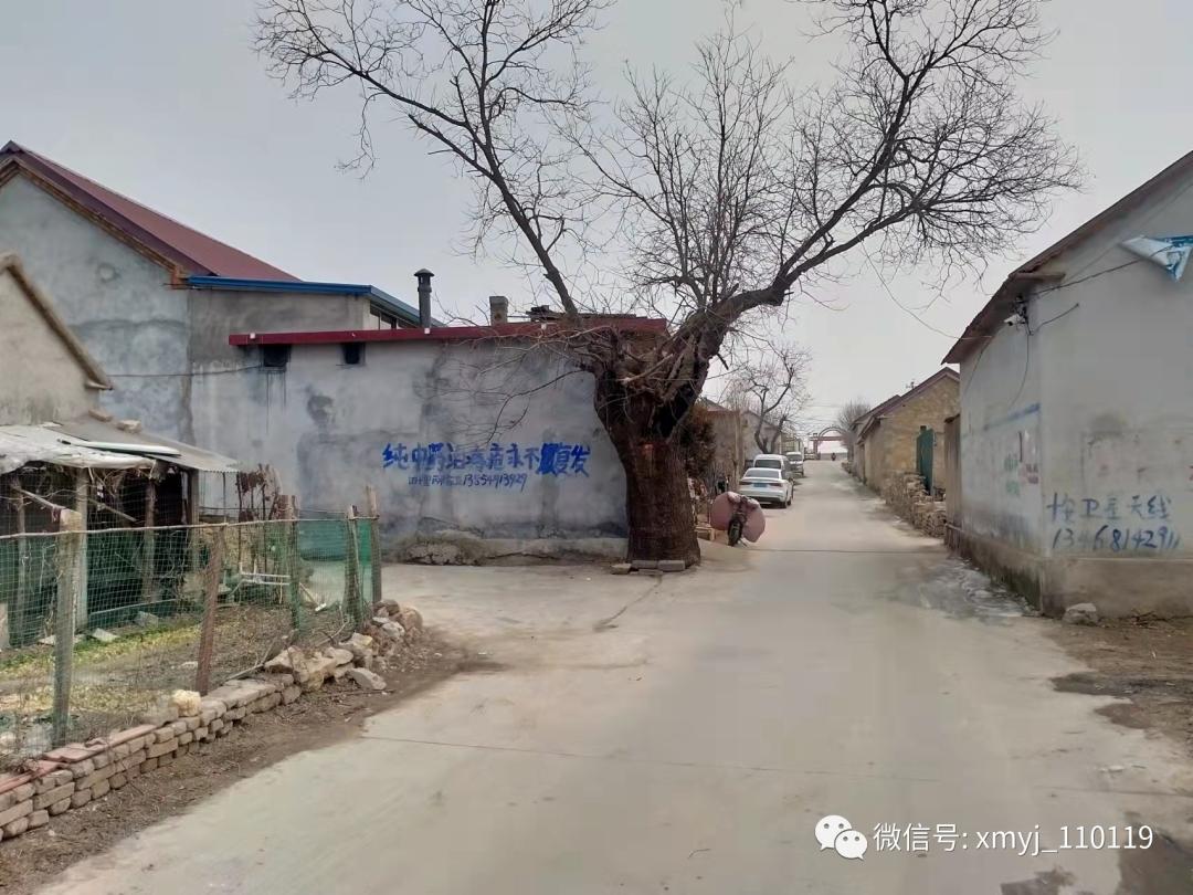 春天的脚步的唯美句子,春天的脚步原唱完整版