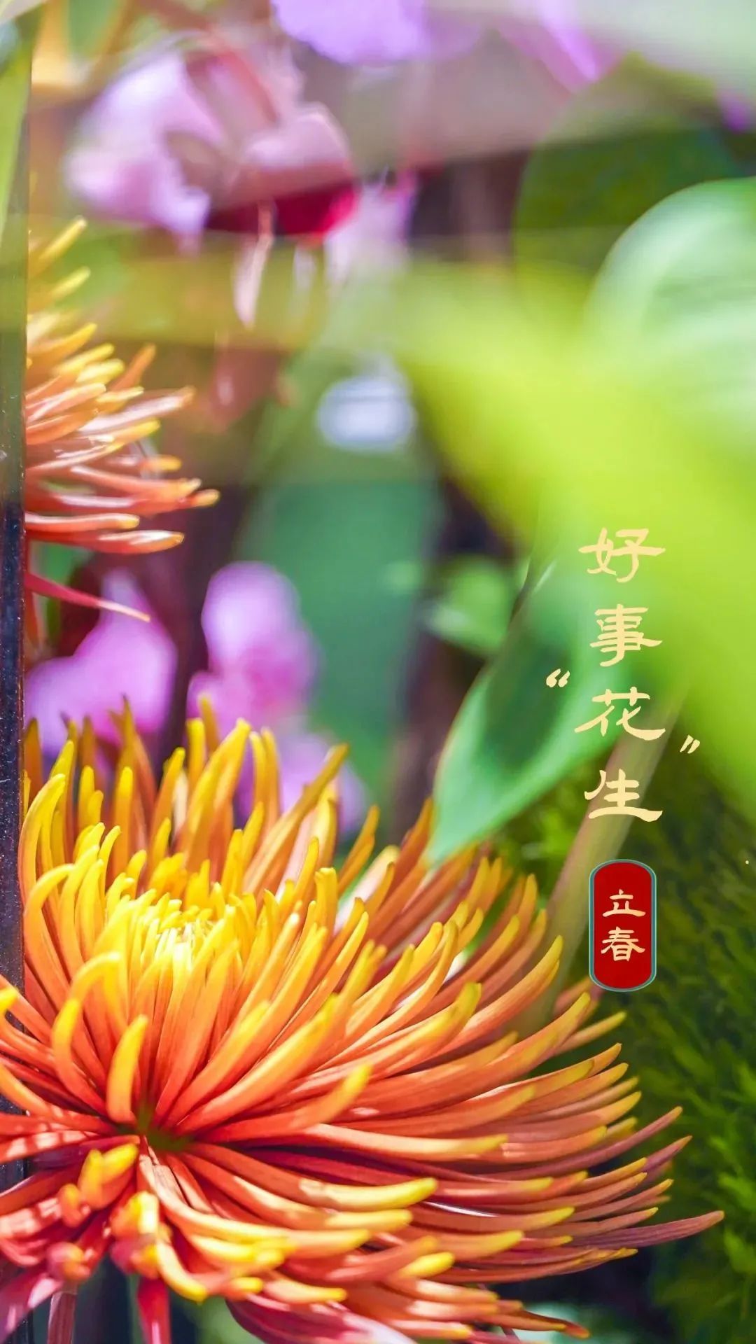 武汉春节惠民活动,武汉人的福利