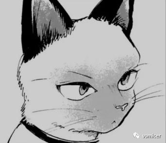 夏日阳台上的猫,阳台上的猫和鸟