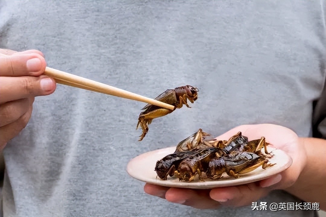 女王伊丽莎白珍贵影像,英国女王珍贵影像