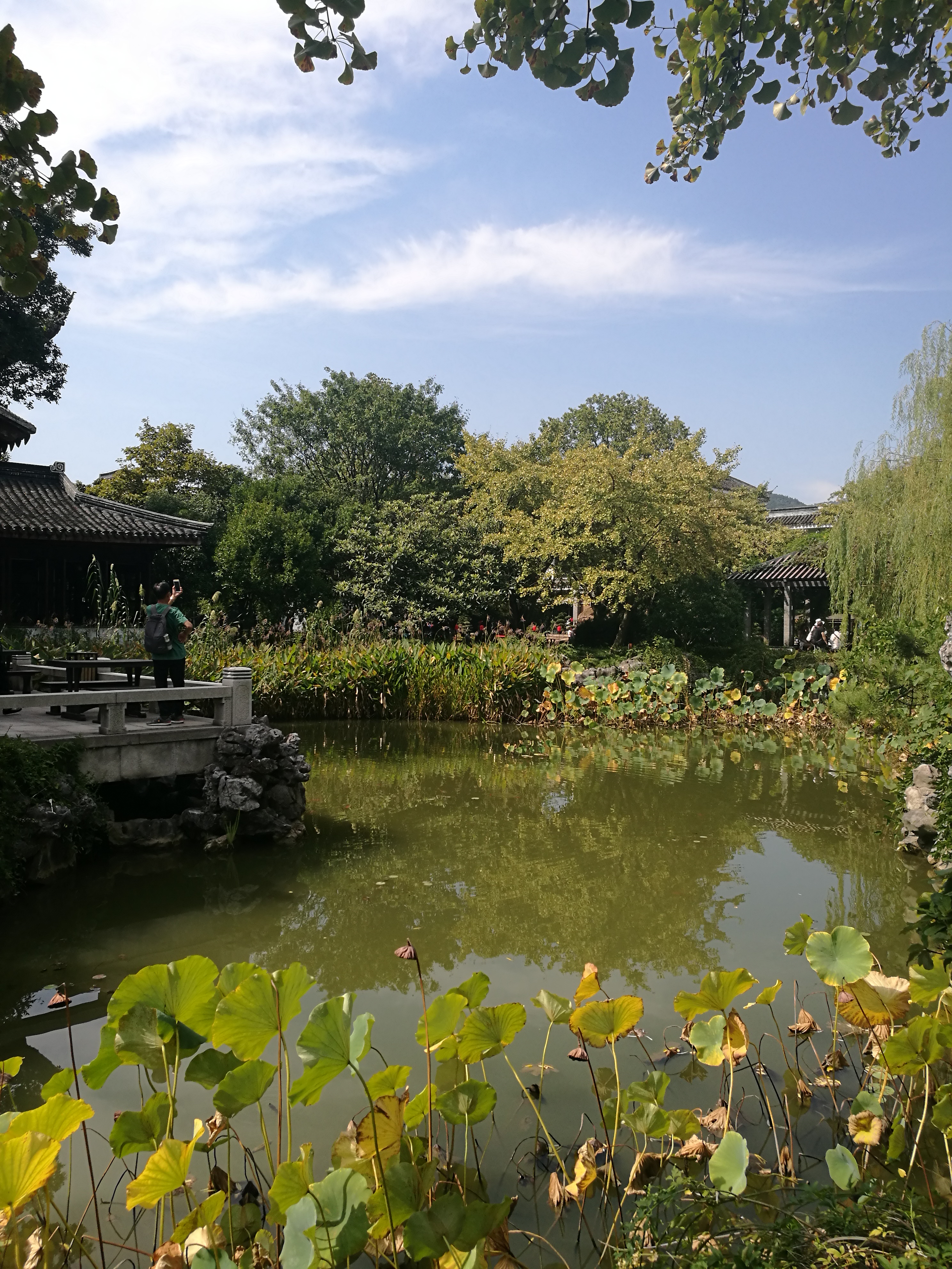 苏州东山农贸批发市场图,苏州东山轻轨