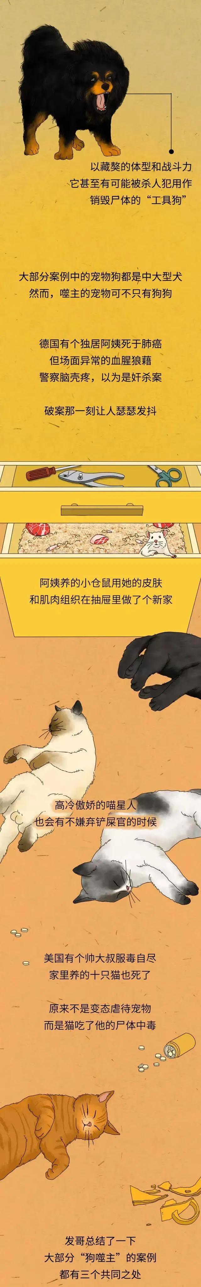 漫画：“铲屎官如果突然挂了，狗狗会等多久吃掉尸体？”网友神评
