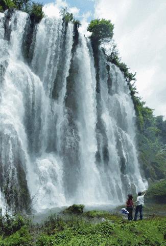 好看的山水花鸟大全,中国风山水花鸟图片