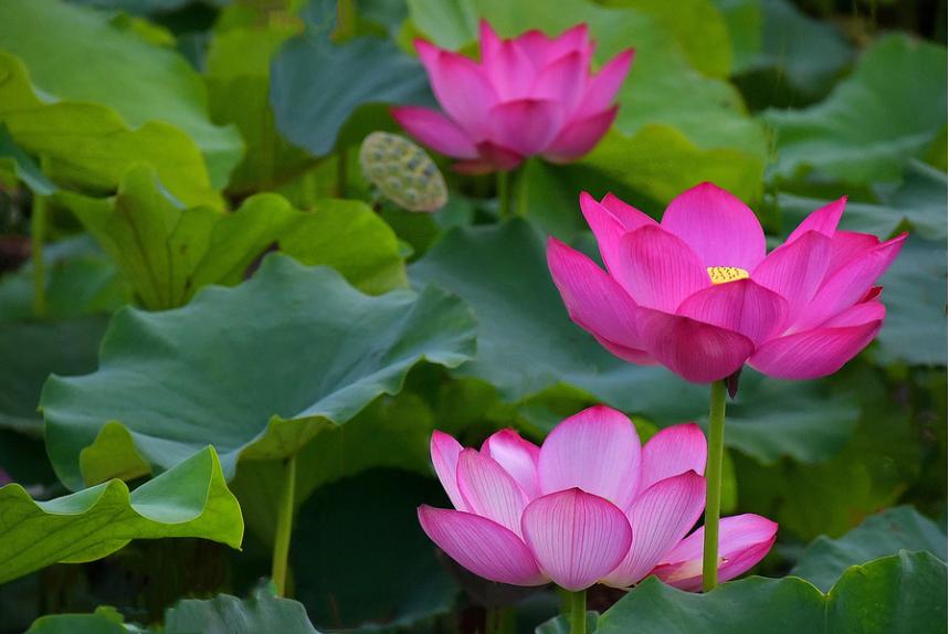 不回复你微信的人直接拉黑,这样回你微信的人就别联系了