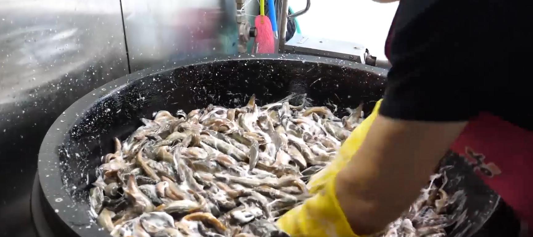 韩国大补汤泥鳅,韩国正宗泥鳅汤