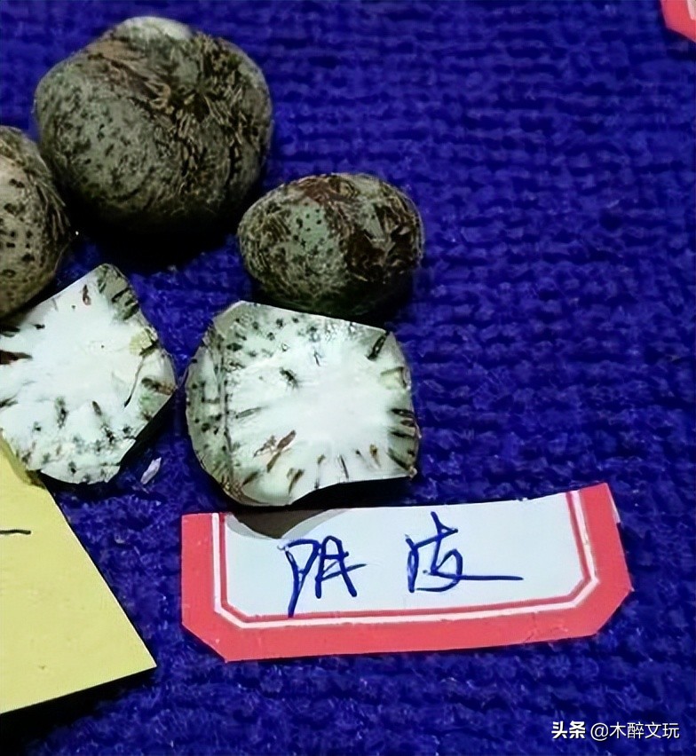 星月菩提的阴皮,星月菩提绿阴皮是怎么形成的