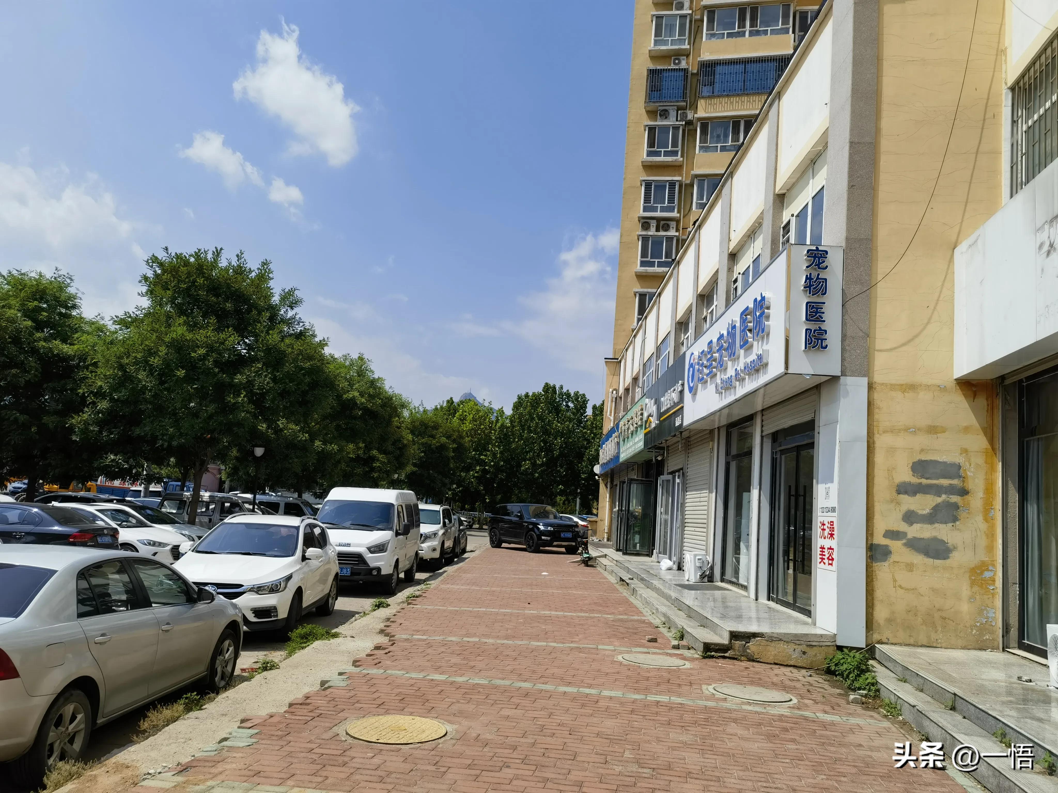 2023上海到秦皇岛承德十日游第四天：看阿那亚的海，逢犬舍的安娜