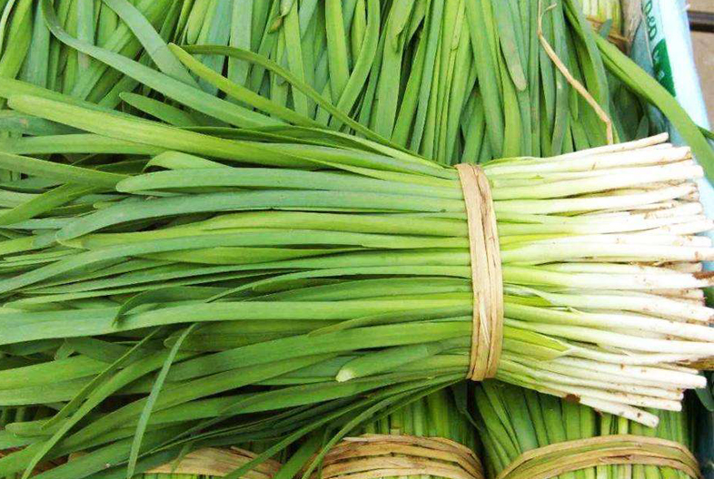 3月份有哪些蔬菜可以播种,3到10月适合种植哪些蔬菜