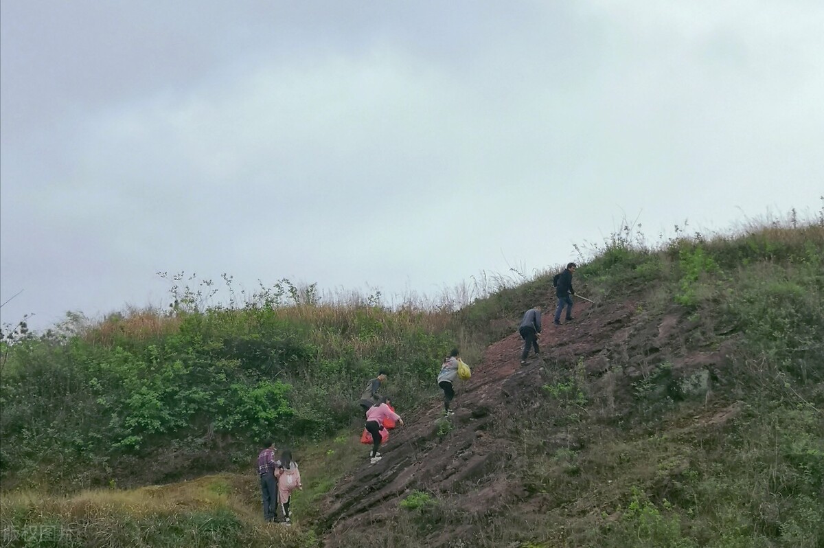 清明上坟祭祖应注意哪些,清明节祭祖上坟的忌讳