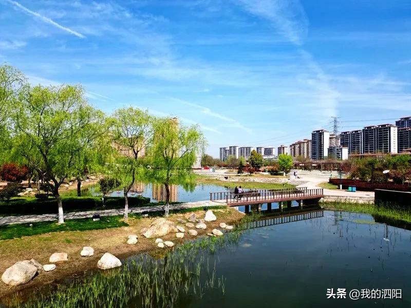 从一粒种子到一粒米全产业链,宿迁如何发展绿色家居产业