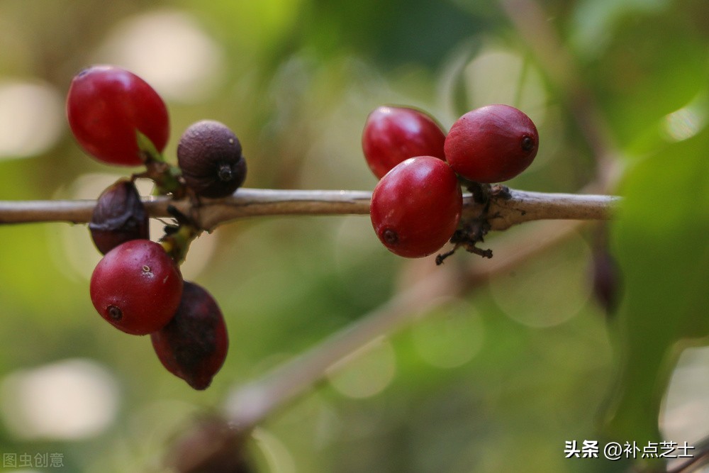 市场开发方案及销售方案,营销策划与市场开发