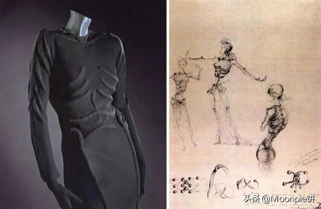 为什么胼胝体会缺失,schiaparelli水平