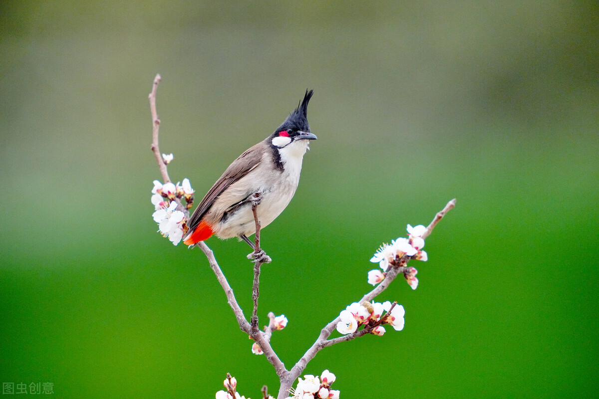 光圈调整技巧,摄影中光圈大小怎么选择