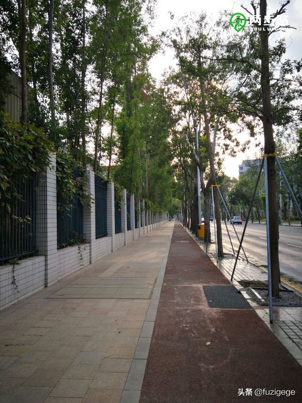 深圳徒步路线从梧桐山到盐田,深圳十峰大南山徒步最佳路线