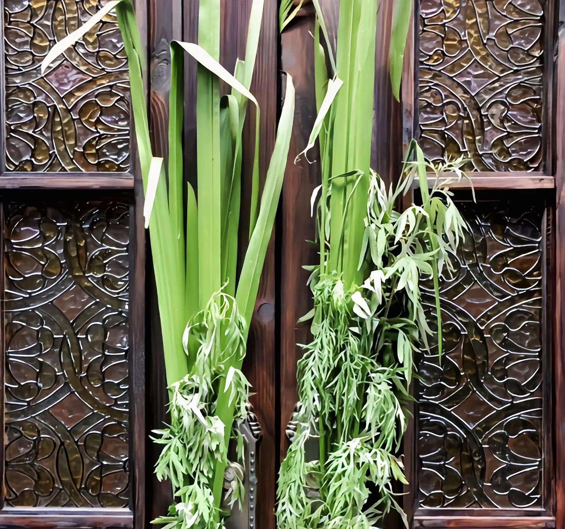 端午门口挂艾草过年需要拿下吗,端午节门前挂艾草是驱毒辟邪吗