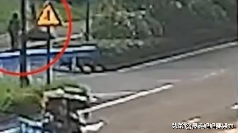 男子出门买早餐被困绿化带四天三夜,野果野菜解决饥饿,露水解渴