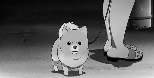 晚上到早上放好多屁很响怎么回事,总是放很响的屁是咋回事