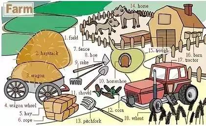 英语高频词汇听力,雅思听力场景词汇