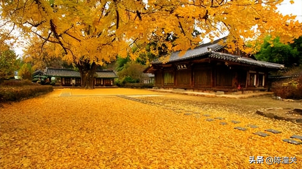 韩国人口与面积多大,韩国人均gdp相当于中国哪里