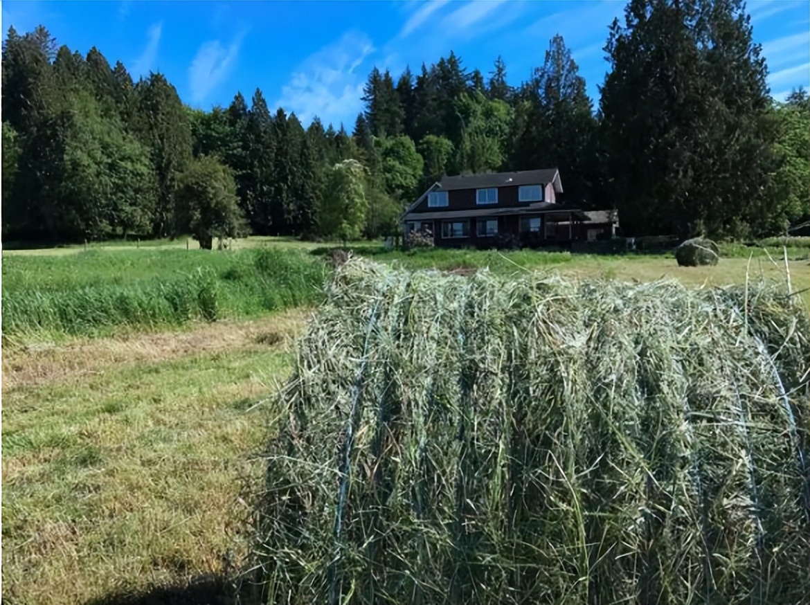 中国美女农场,中国女农场主