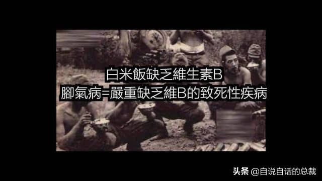 龙虾青龙和花龙区别,龙虾也是生物为什么我们要吃它