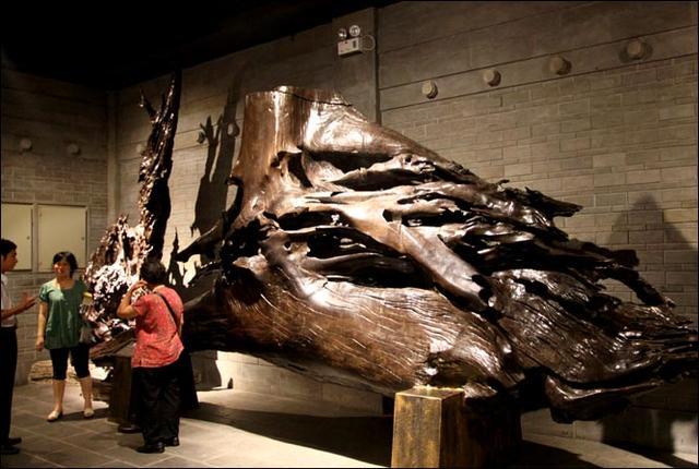 上亿乌木最后归属,江西上亿乌木最后归谁了