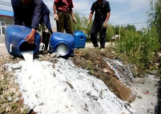 为什么宁愿倒掉牛奶也不愿低价卖,牛奶为什么倒掉也不能卖