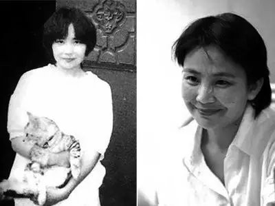 顾城杀妻自尽的原因,顾城杀妻自尽后