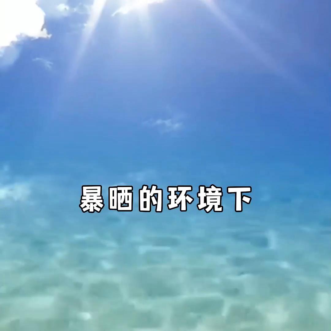 2021防晒测评排名第一名,60款防晒喷雾测评