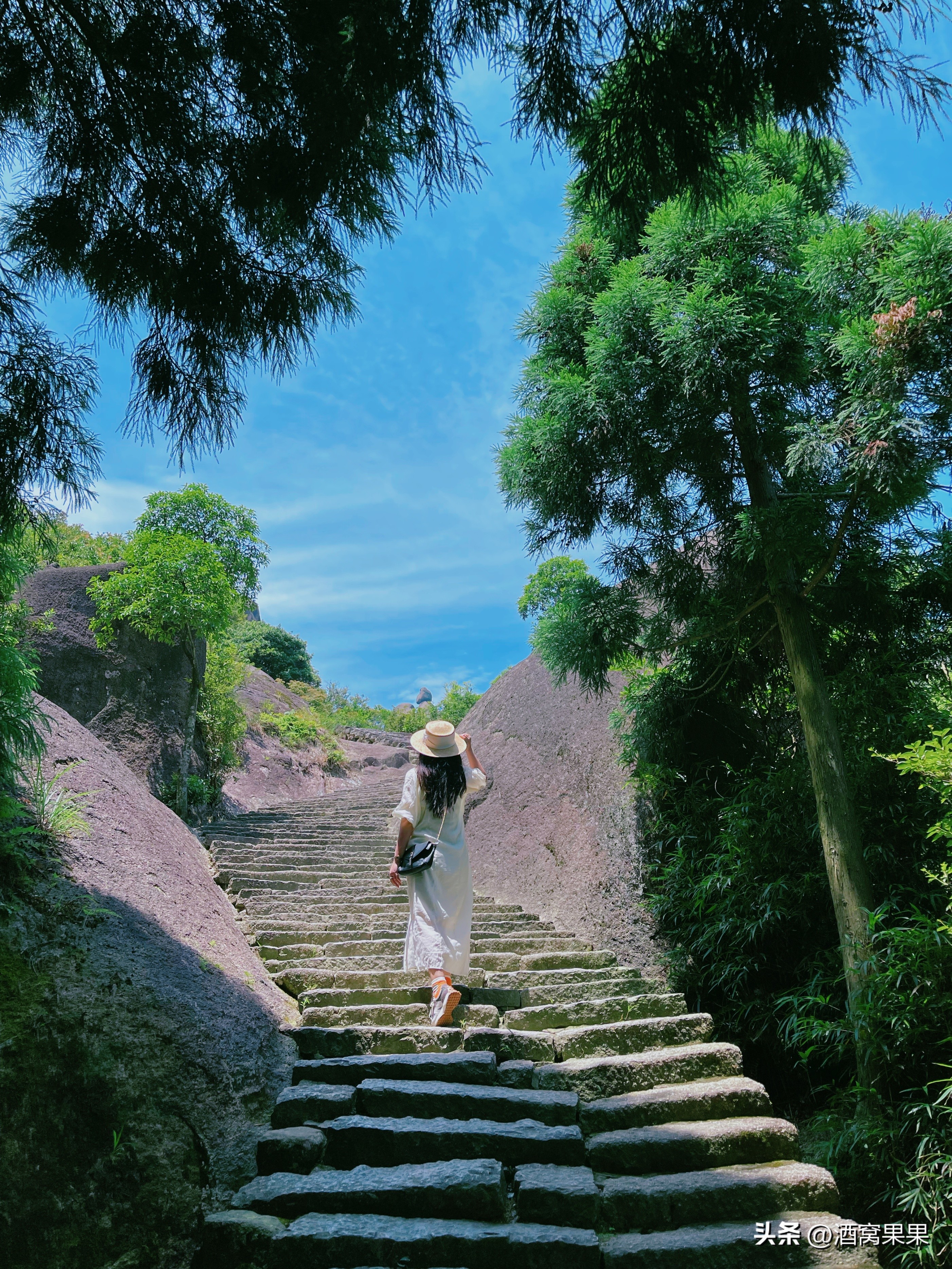 福鼎两天一夜旅游攻略,福鼎茶漫步茶园体验采茶之旅