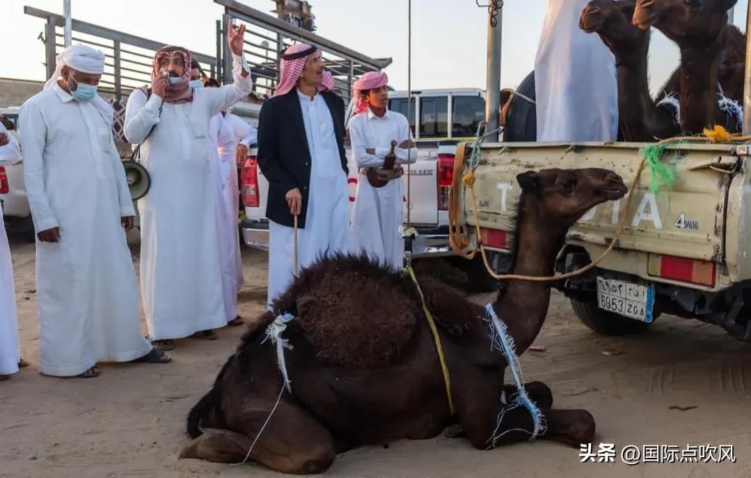 沙特阿拉伯发展历程,沙特阿拉伯的崛起之路